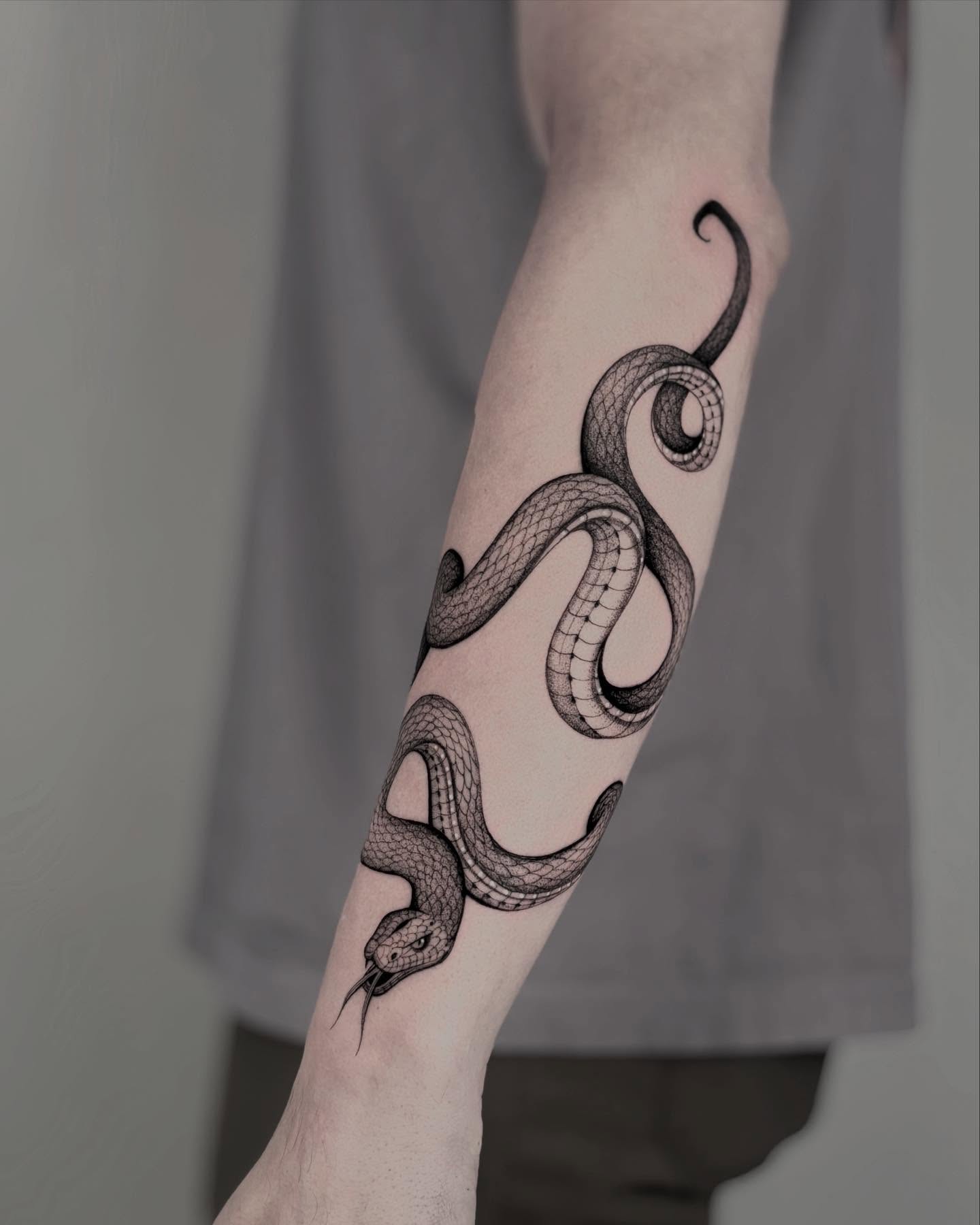 1. Serpent Symphony: a Dance Of Shadows and Scales