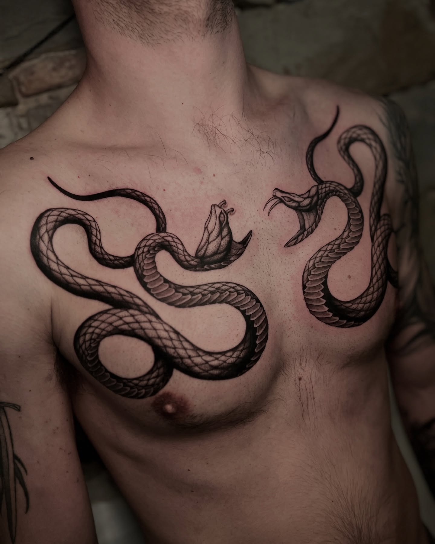 22. Dancing Shadows: the Duality Of Serpent Elegance