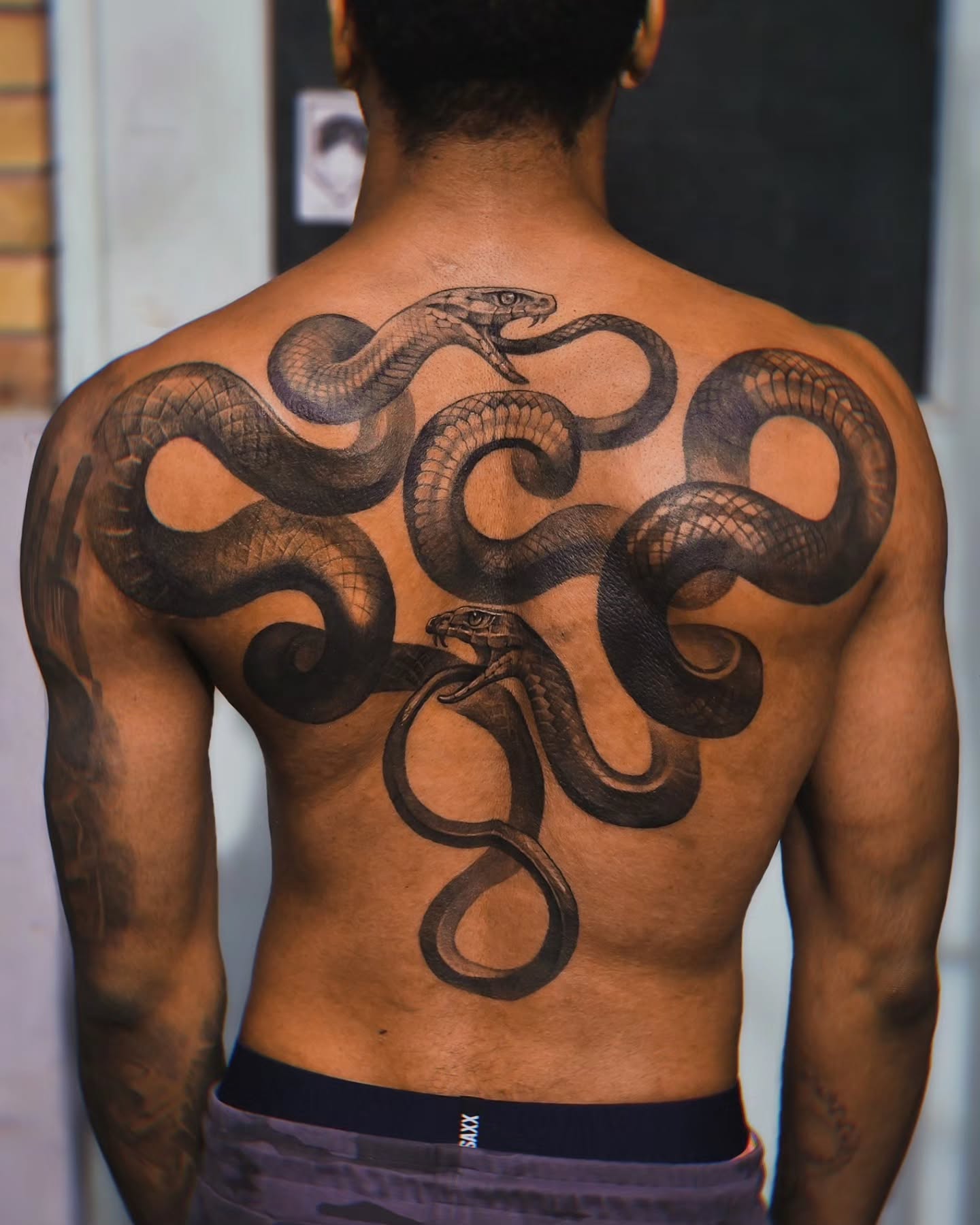 21. Entwined In Shadows: the Serpentine Dance Of Duality