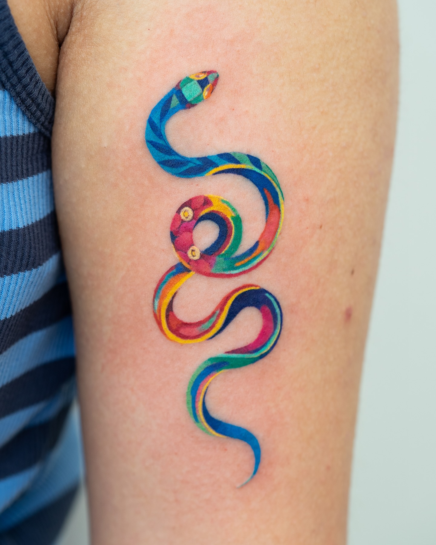 25. Vibrant Serpent: a Dance Of Color and Curves
