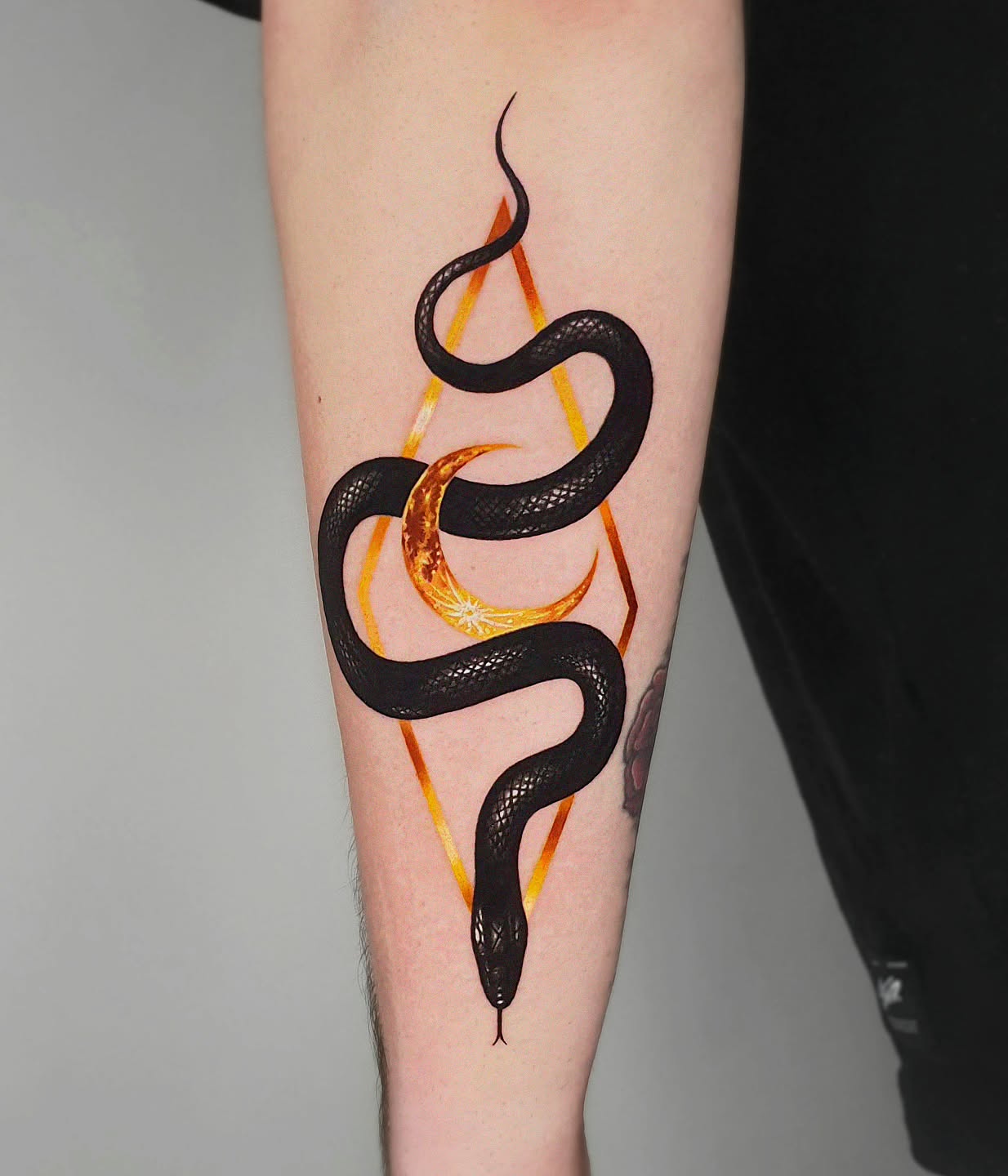 37. Eclipsed Elegance: the Serpent's Dance Amidst Celestial Geometry