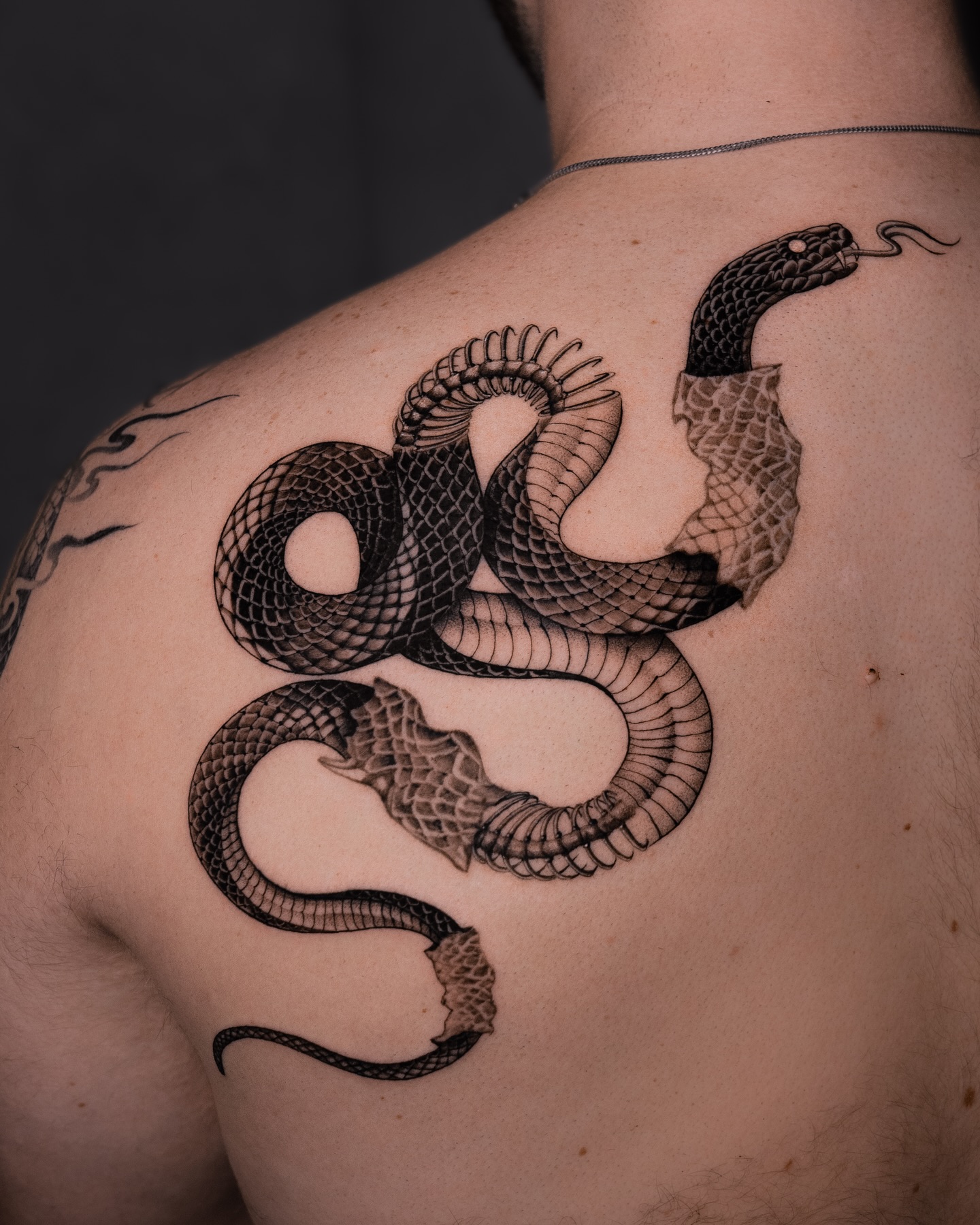 7. Sensational Serpent: an Intricate Dance Of Shadow and Scale