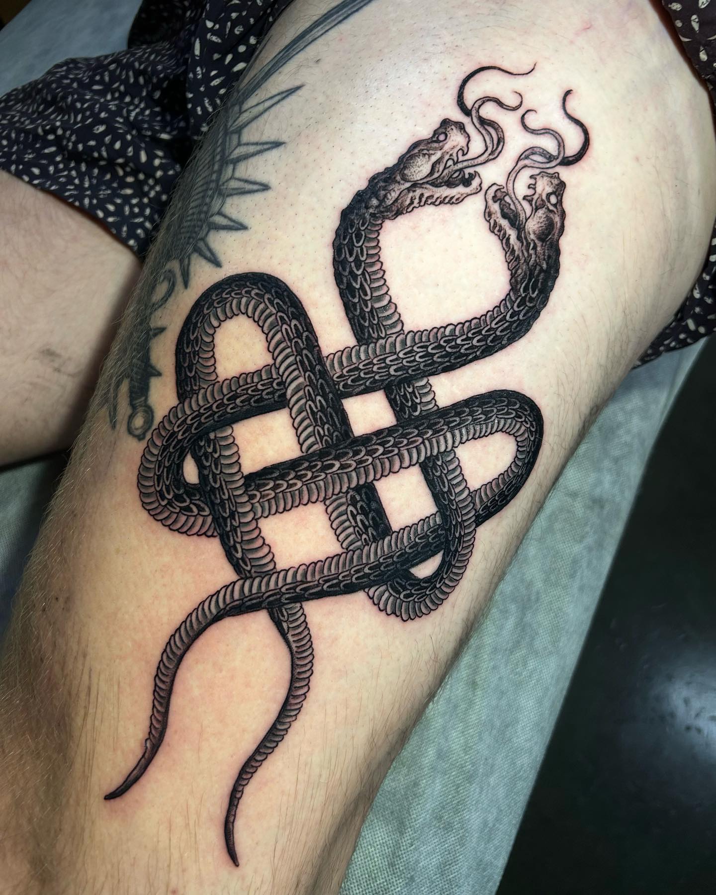 24. Twisted Destiny: the Enigmatic Dance Of Dual Serpents