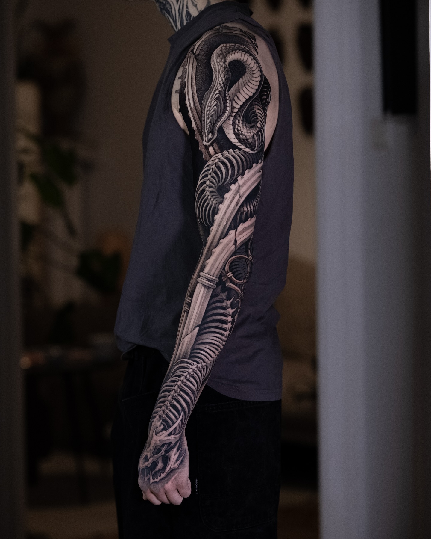 48. Twisting Elegance: the Anatomy Of a Serpent’s Dance