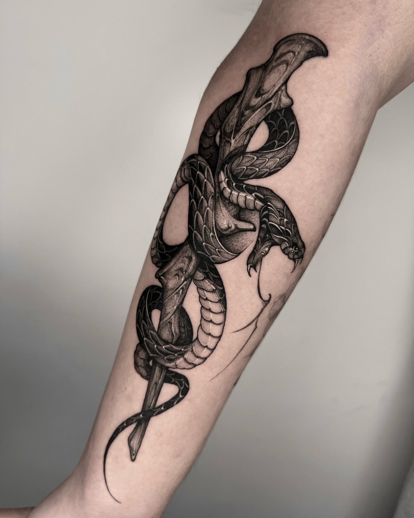 20. Coiled Power: the Serpent’s Embrace Of Valor